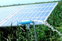 Solar Agriculture Pumps