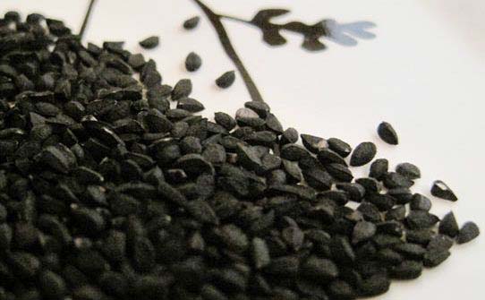 kalonji seed