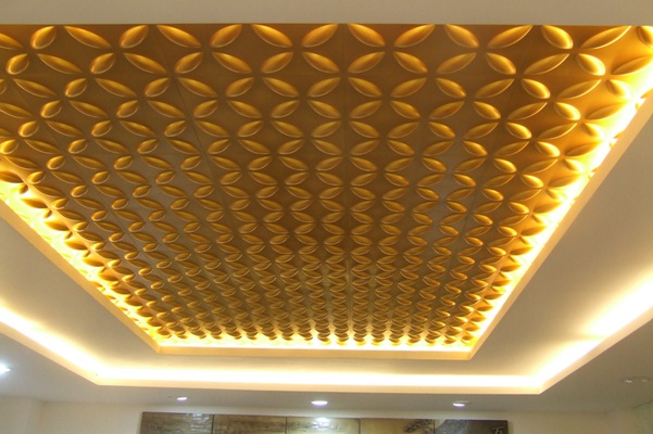 Ceiling Panels