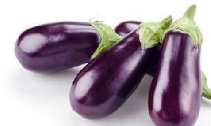 Fresh Brinjal