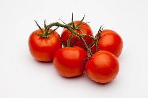 fresh tomato