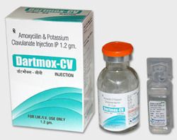 Potassium Clavulanate Injection