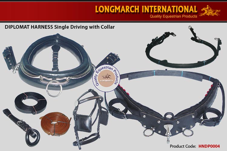 Single Driving Diplomat Harness with Collar