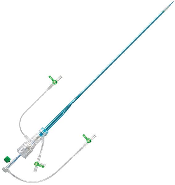 RE-COLLAPSIBLE INTRODUCER