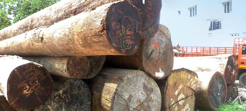 Kwila Wood Logs