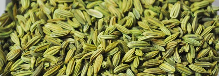 fennel seed