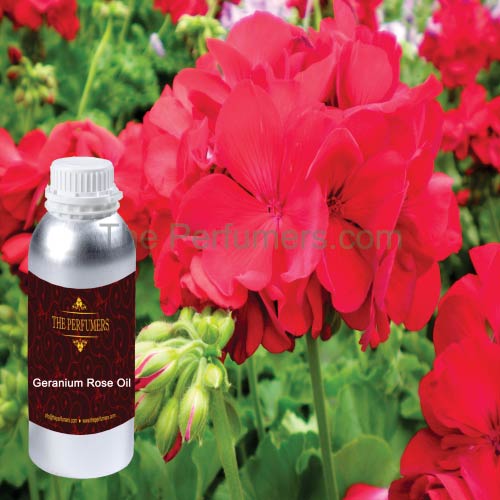 Geranium Rose Oil