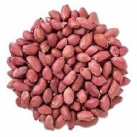 peanuts seed