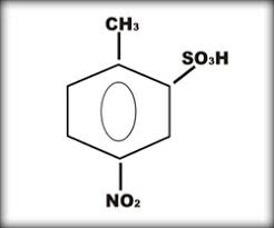 para nitro toluene ortho sulphonic acid