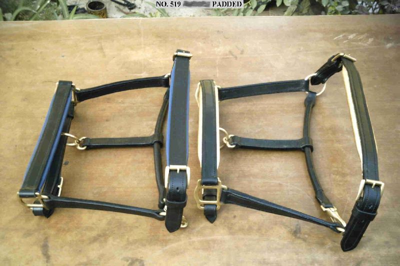 Horse Halters