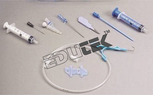 Lumen Catheter Kit