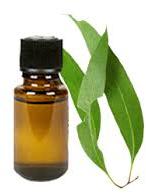 Clove Leaf Oil