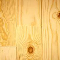 New Zealand Pine, Color : White