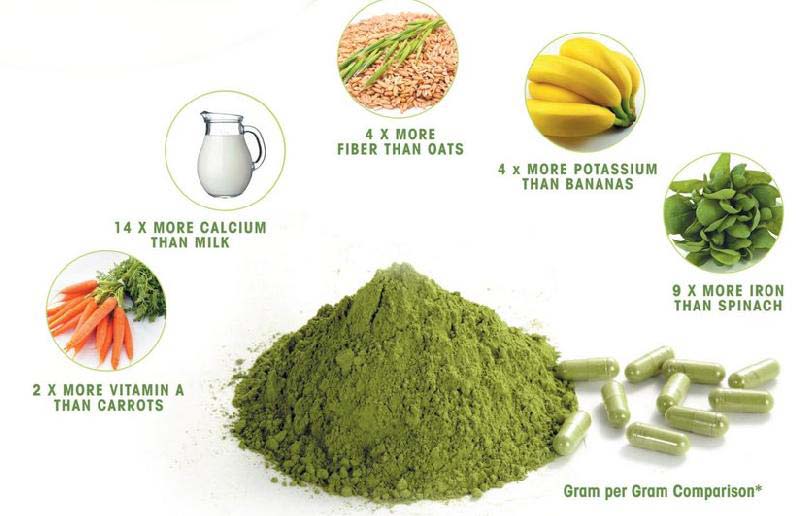 Moringa Olifera Dry leaf powder