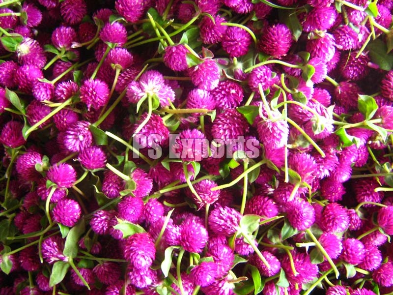 Fresh Vadamalli Flowers