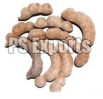 Tamarind Pods