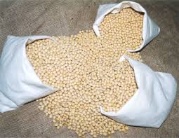 yellow soya beans