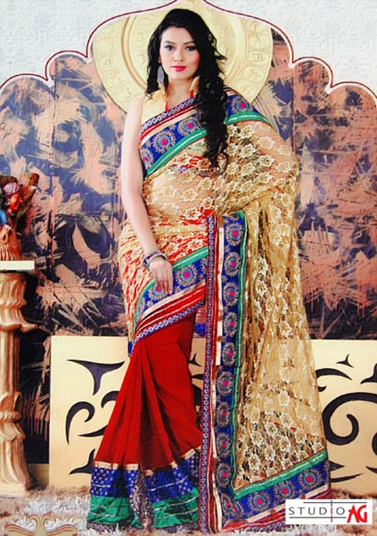 Golden and Red Net and Georgette Saree