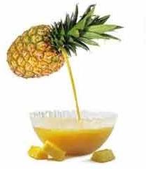 Pineapple Pulp