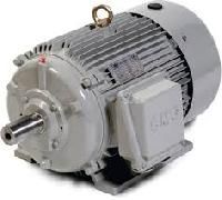 AC Induction Motor