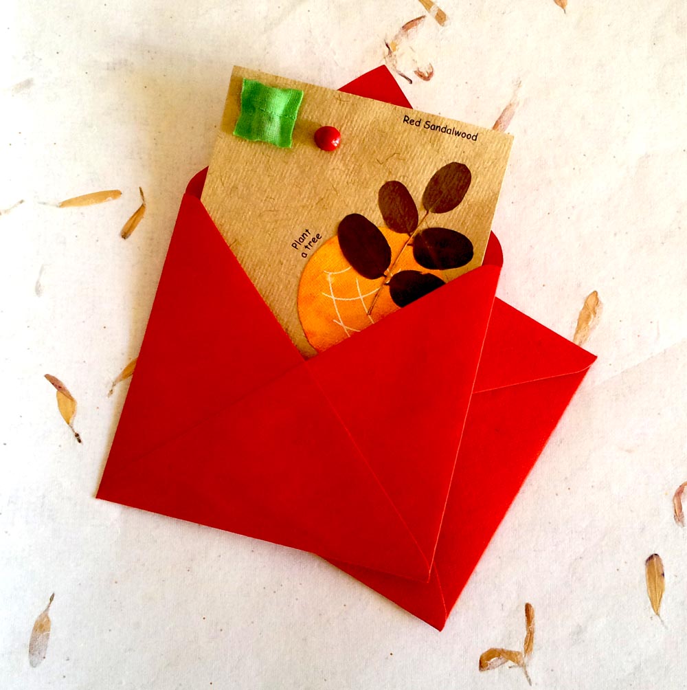 Buy Seed Cards from The Giving Tree, Bangalore, India ID 921258
