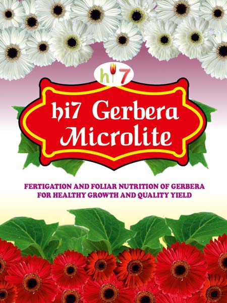 Gerbera Flower Micronutrients