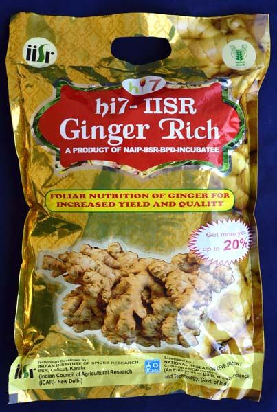 Ginger Micronutrients