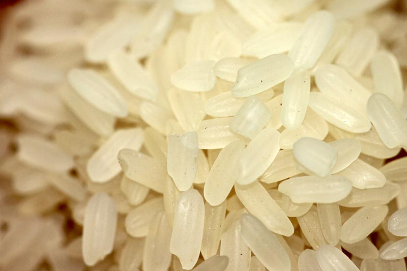 Boiled Common Rice