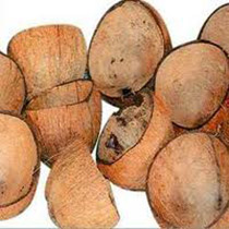 Coconut Shells