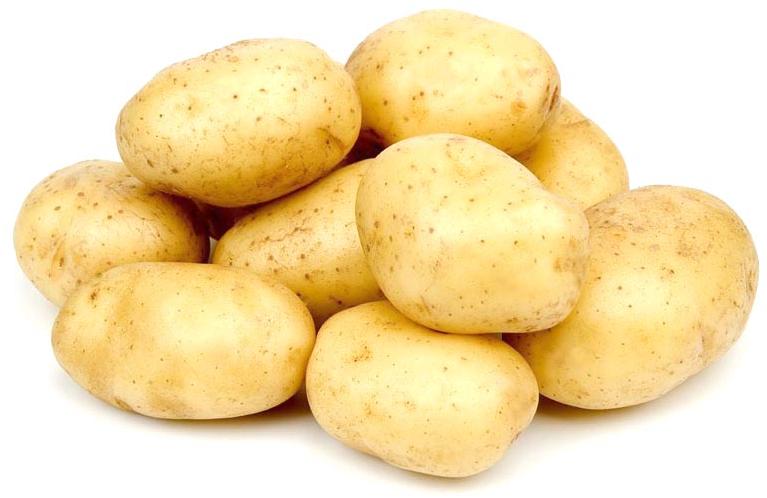 fresh potato