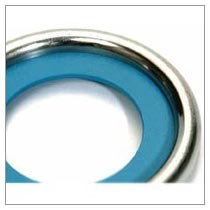 PTFE Inserted Ring Type Joint Gasket