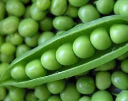 Fresh Peas