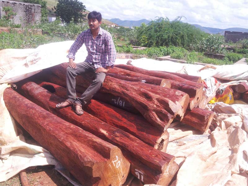 red sandalwood at Best Price in Hyderabad  NIPUNA IMPORTS  EXPORTS