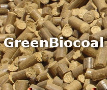 Biomass Briquette