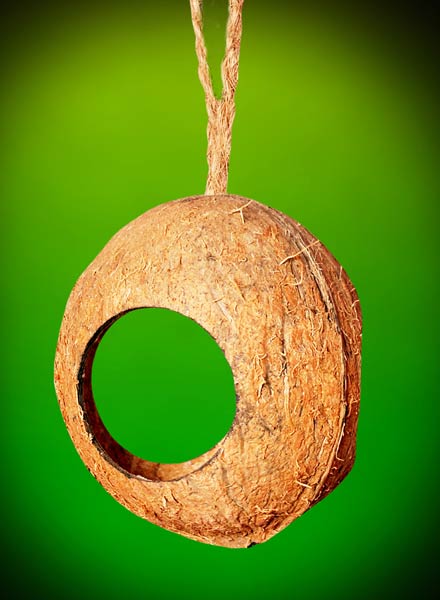 Whole Coconut Shell Bird Feeder with 3 Holes