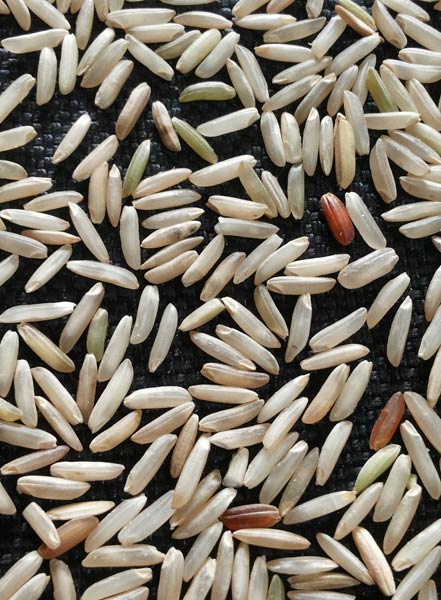 Brown Organic Basmati Rice