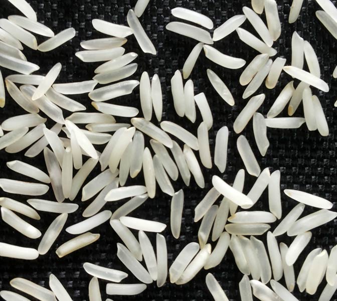 Hard Organic Sharbati Basmati Rice, for Gluten Free, Variety : Medium Grain