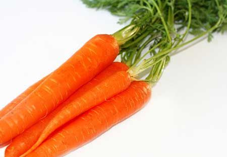 fresh carrot