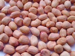 Peanut Seeds Kernel