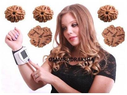 Blood Pressure Cure Rudraksha