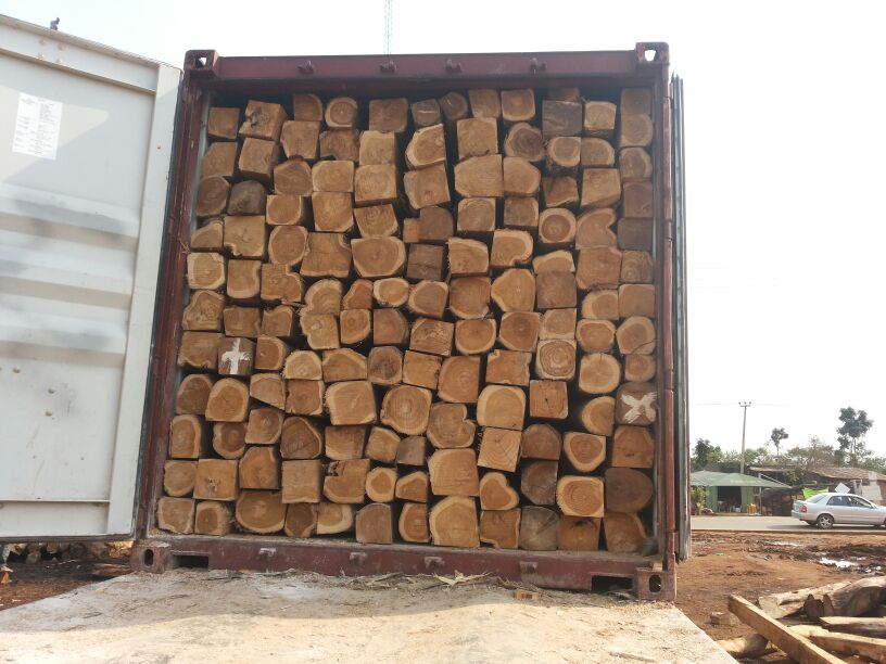 Yavi Impex Private Limited in Tiruchirappalli Retailer of African