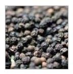 Black Pepper Seeds