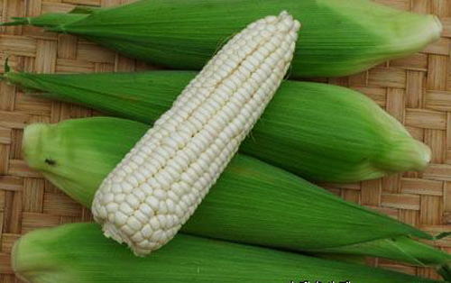 Whole White Maize
