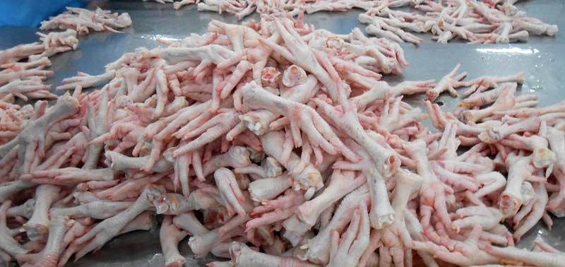 frozen chicken feet