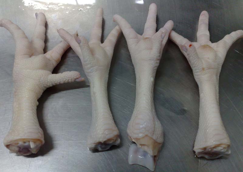 frozen chicken feet