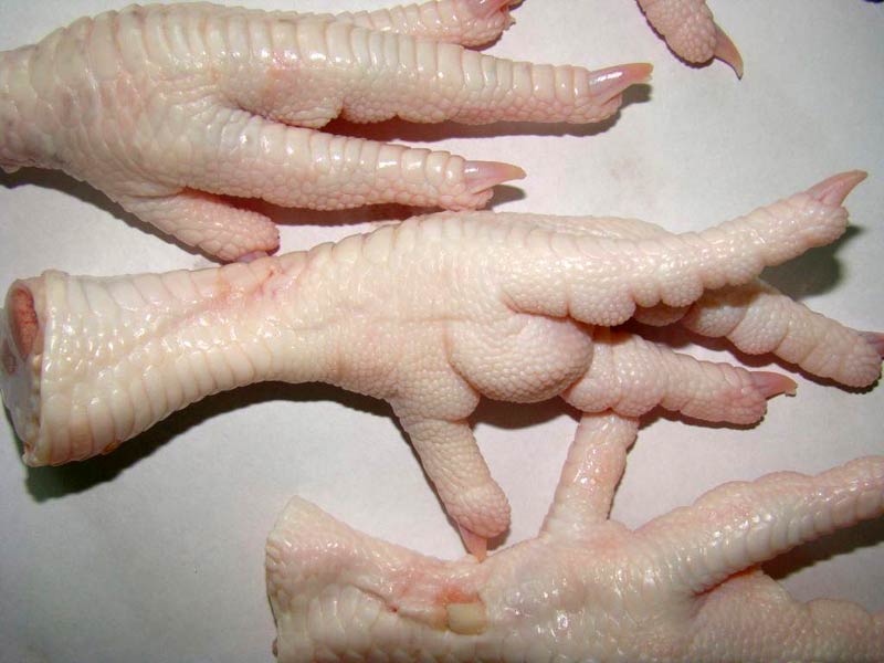 Frozen Processed Chicken Feet