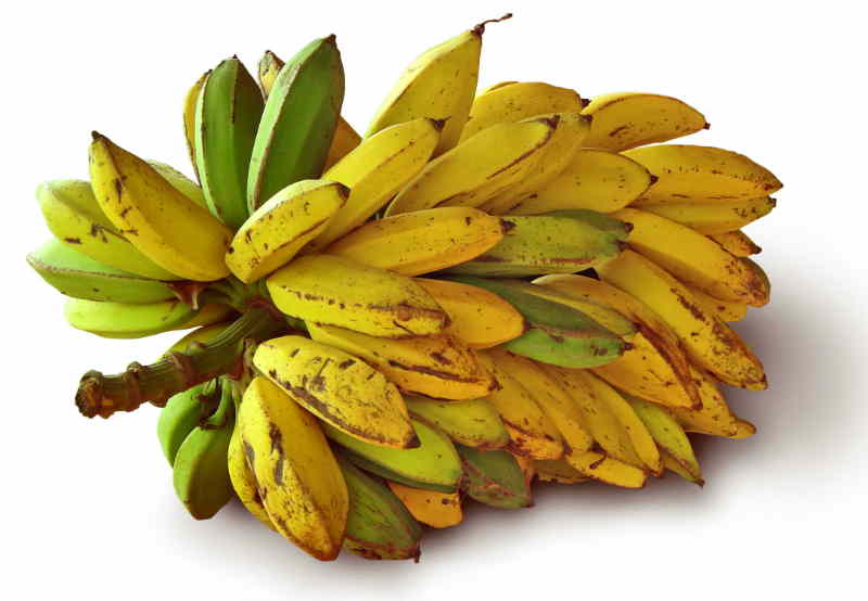 Banana Roller