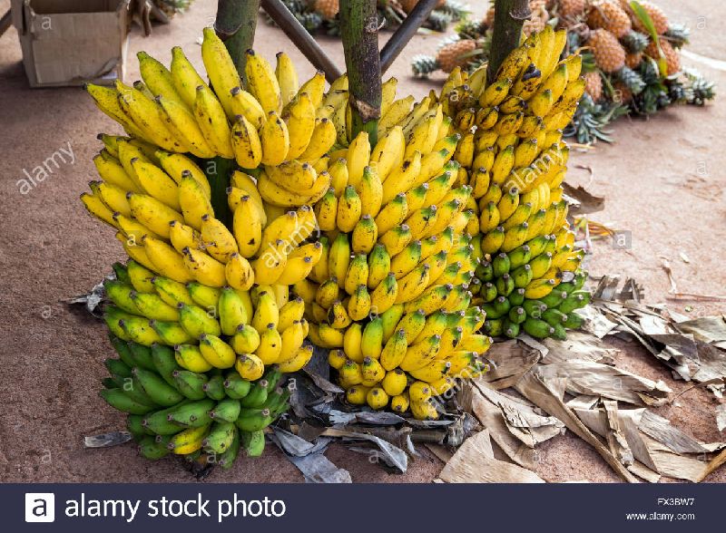 Ripe Banana