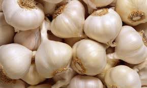 Fresh Garlic Bulbs