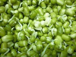 Green mung beans